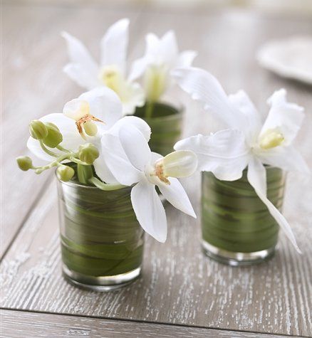 Pinterest Pin AetMxdXq5RHDKsmabyHgfdHRdZUJuqQCElzGjF7NtEzTLk9_T9XuOKc