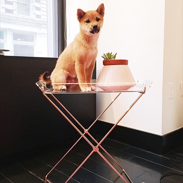 Instagram Post BFKp-8hyZff
