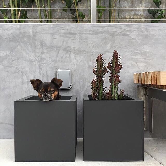 Instagram Post BJ79V9pAOgV