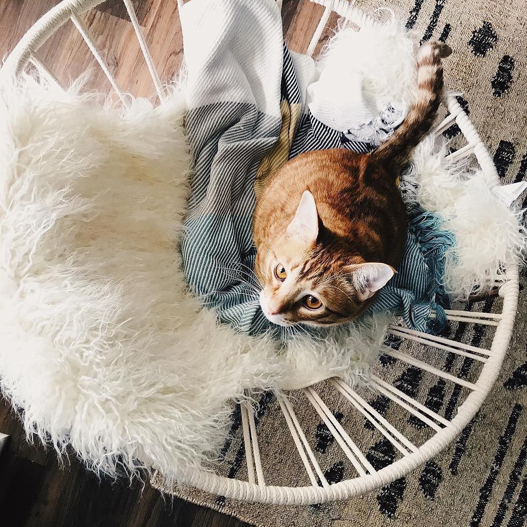 Instagram Post Bakg5fyALn4