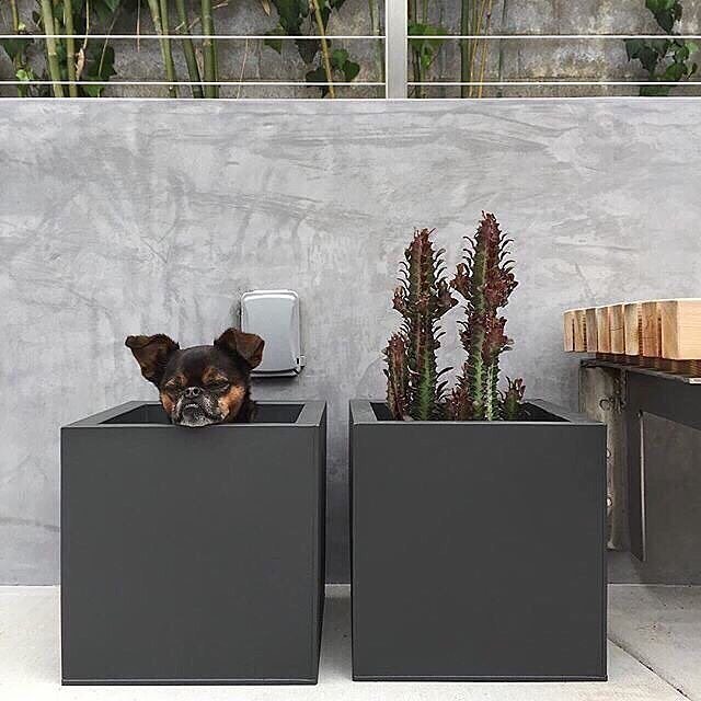 Instagram Post BhaPybblWIQ